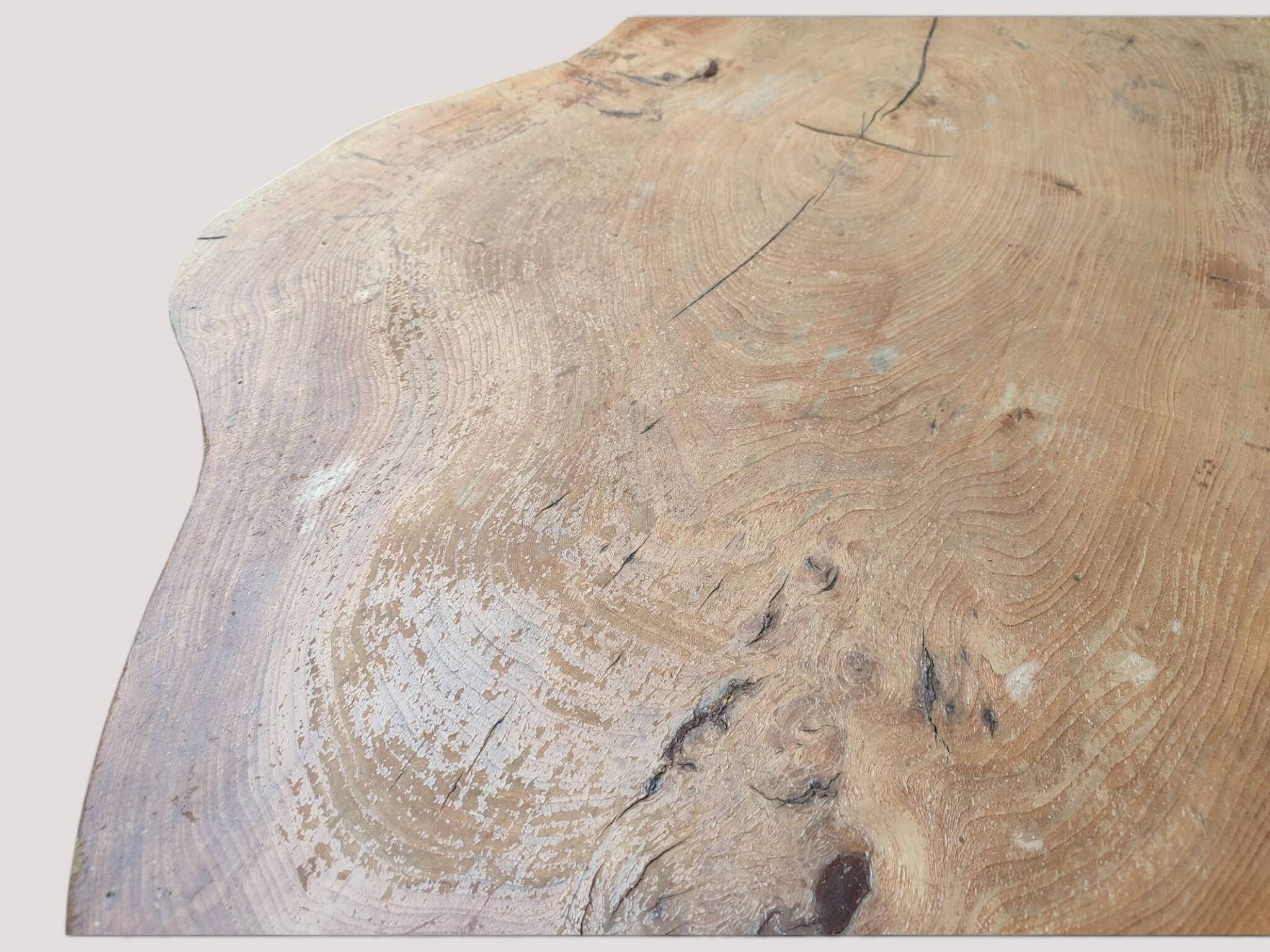 Solid wood coffee table - Section/cross-section of a century-old tree.