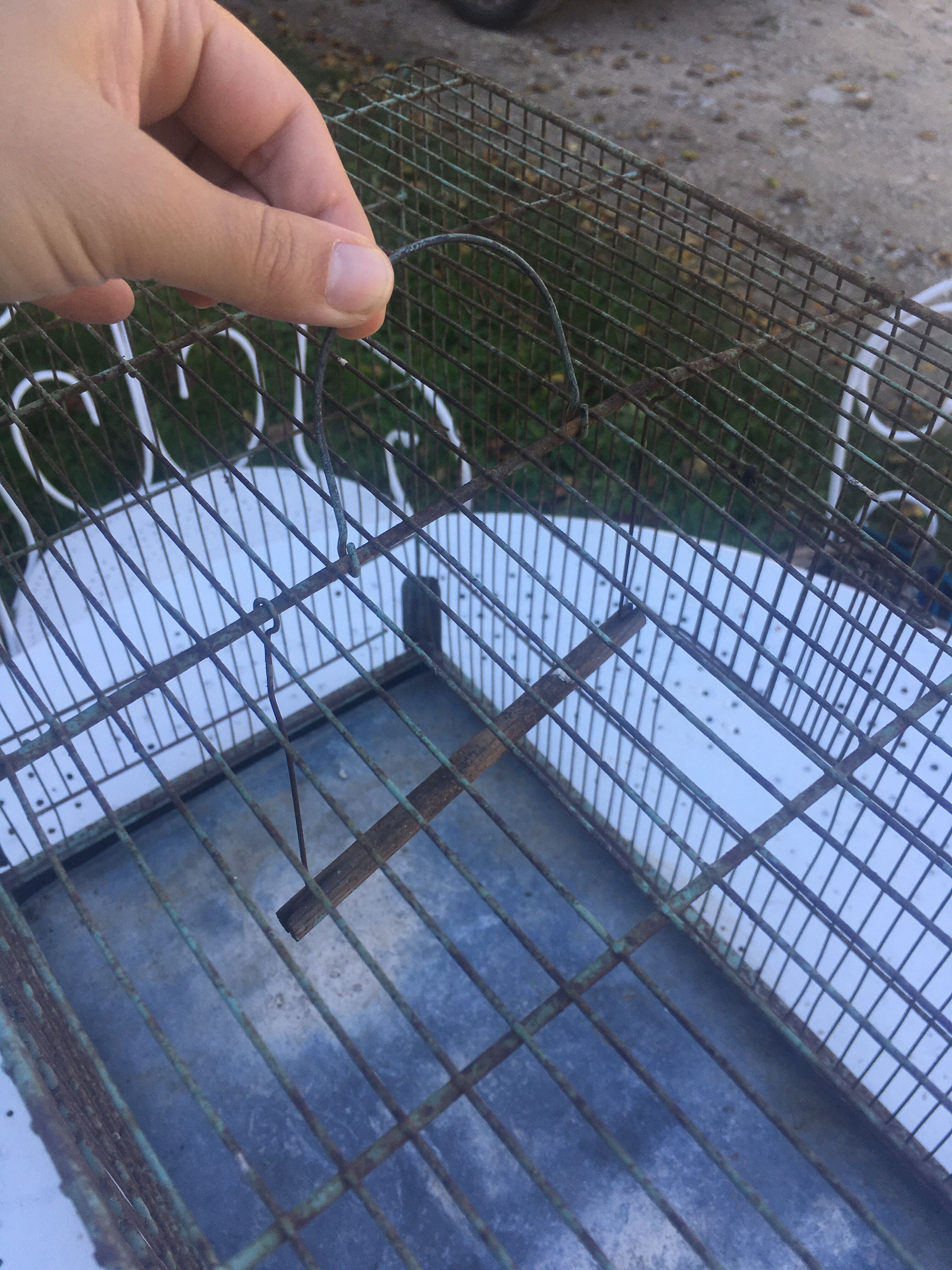 Metal bird cage