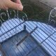 Metal bird cage
