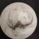 Lampe ours en céramique blanche et globe opaline