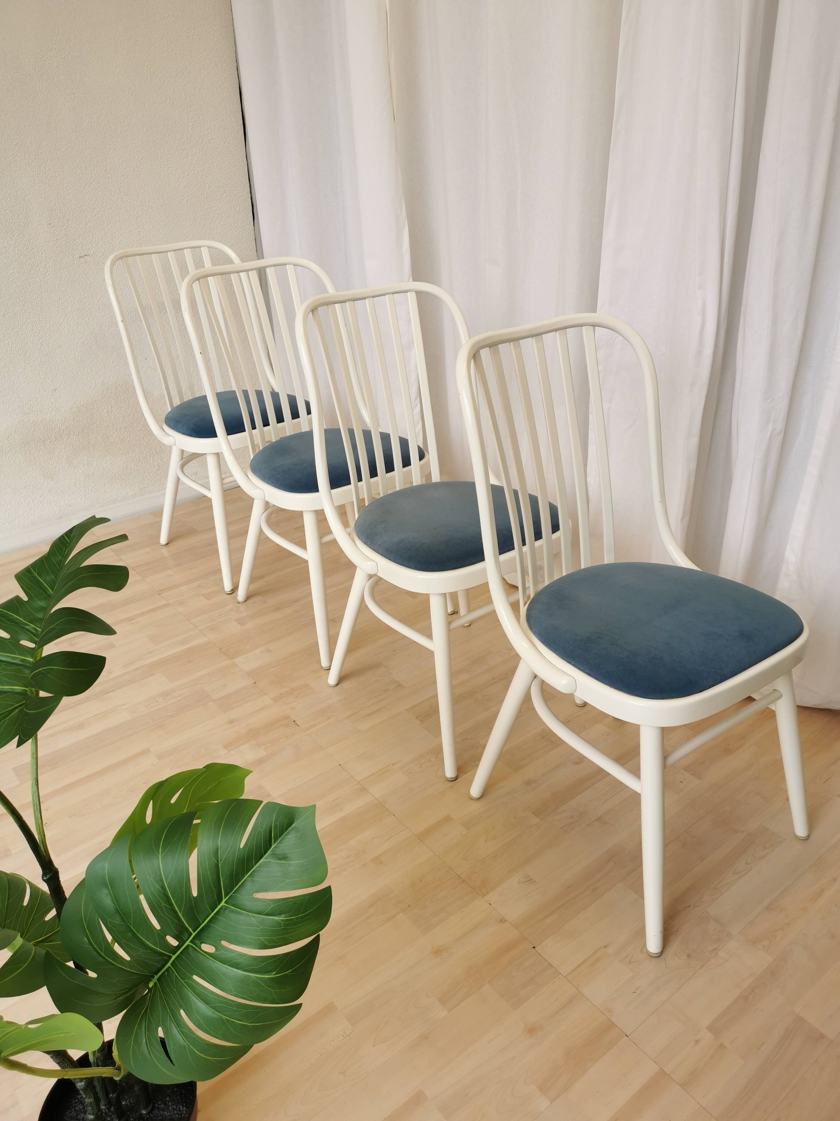 Set of 4 Vintage Bentwood White Dining Chairs in Ligna Style wit Blue Seat