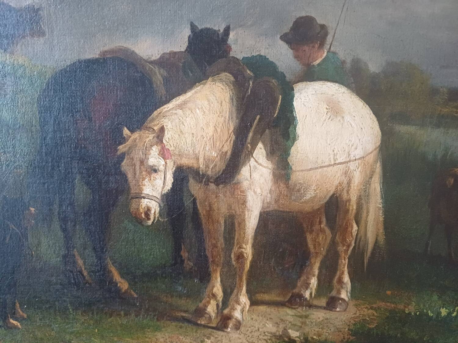 The tow horse by Antonio CORTES