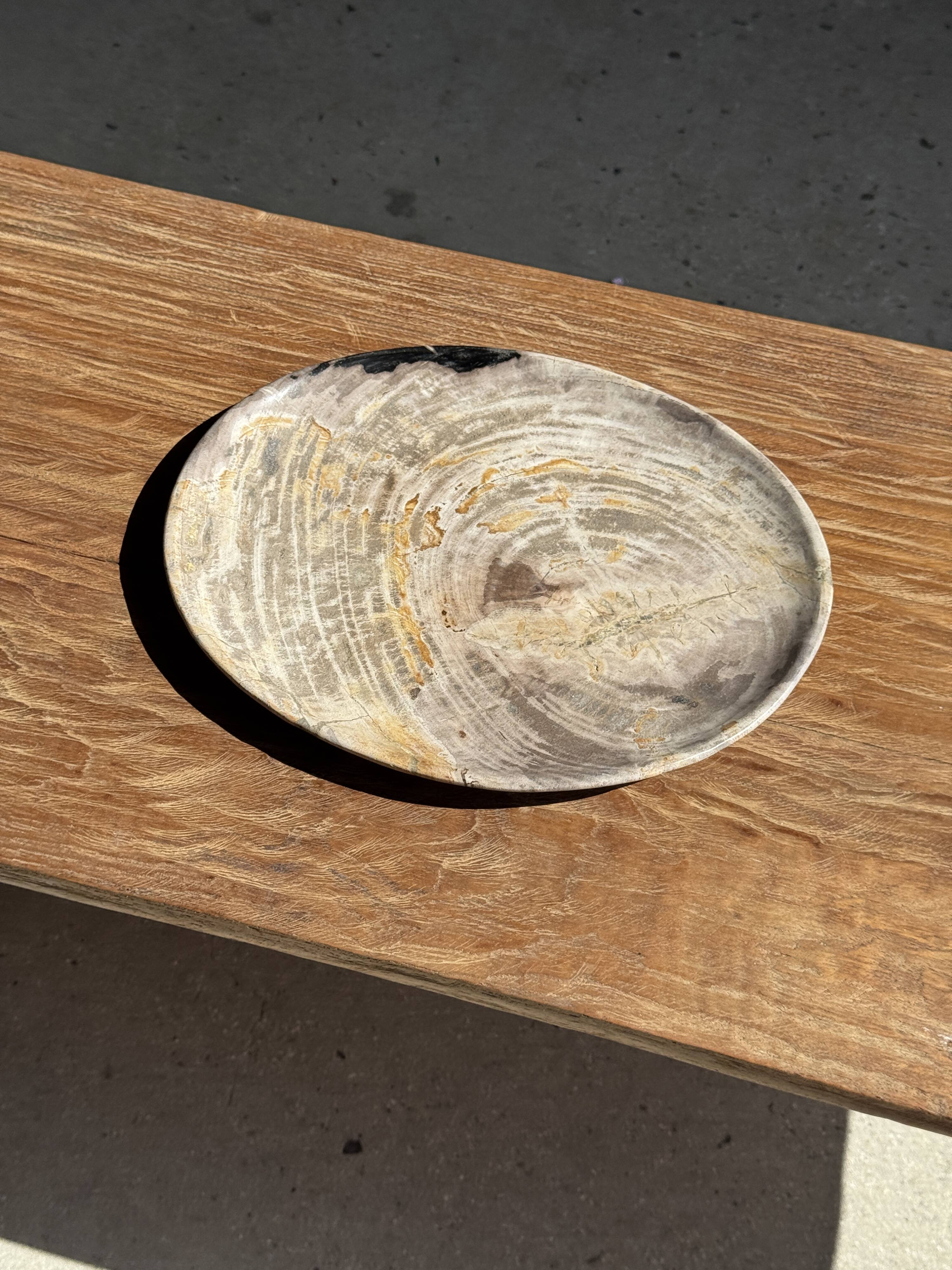 Petrified wood catchall or dish, grey with black rim, D29.5x25.5 -3321