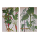 Set of 2 botanical boards Geigy