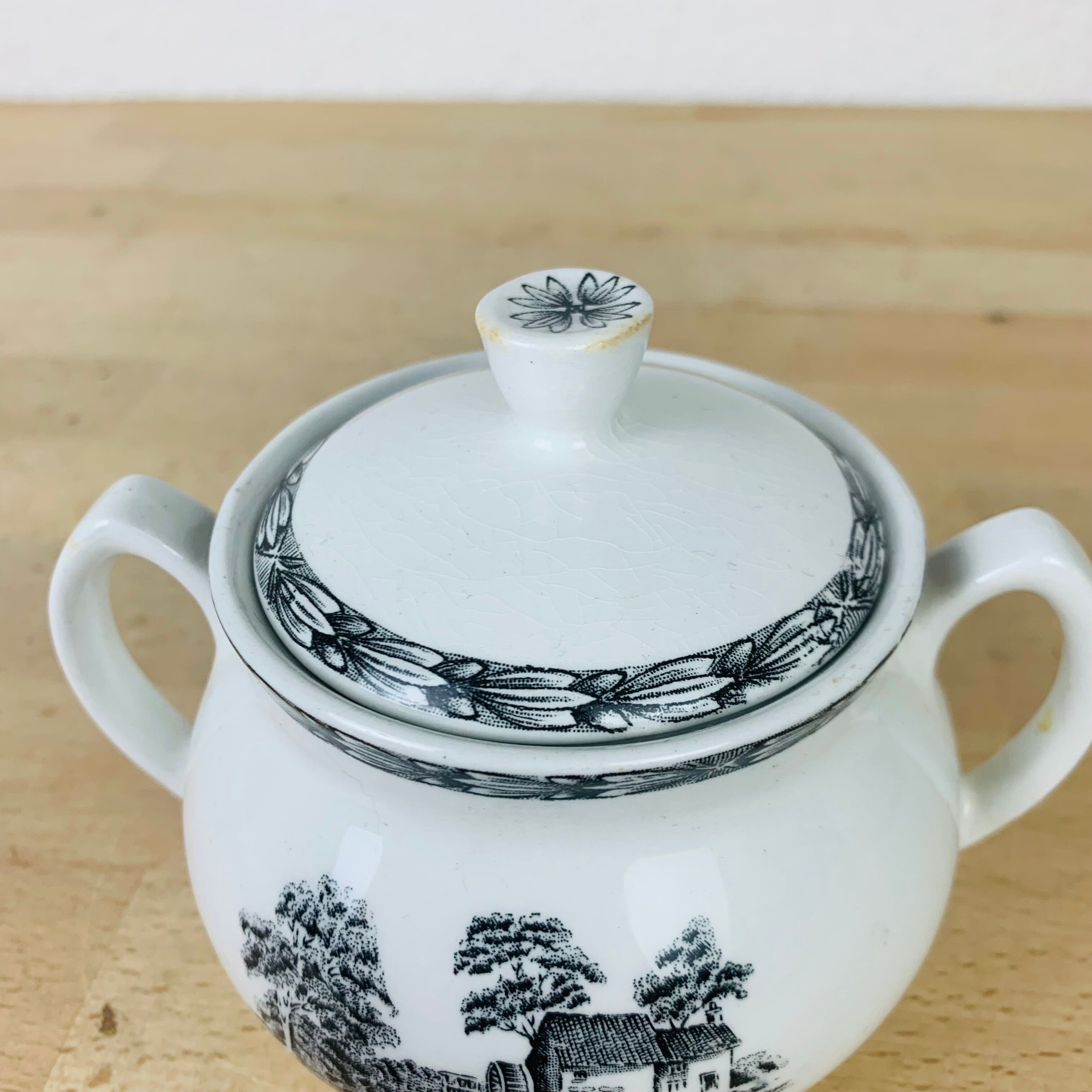 Rustic England Grindley & Co tea set