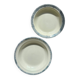Pair of ironstone dishes