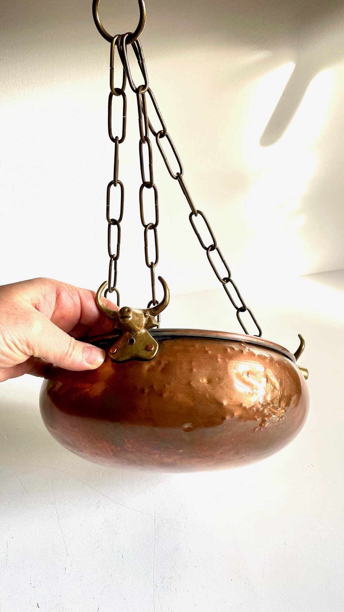 Vintage 3 buffalo hanging planter