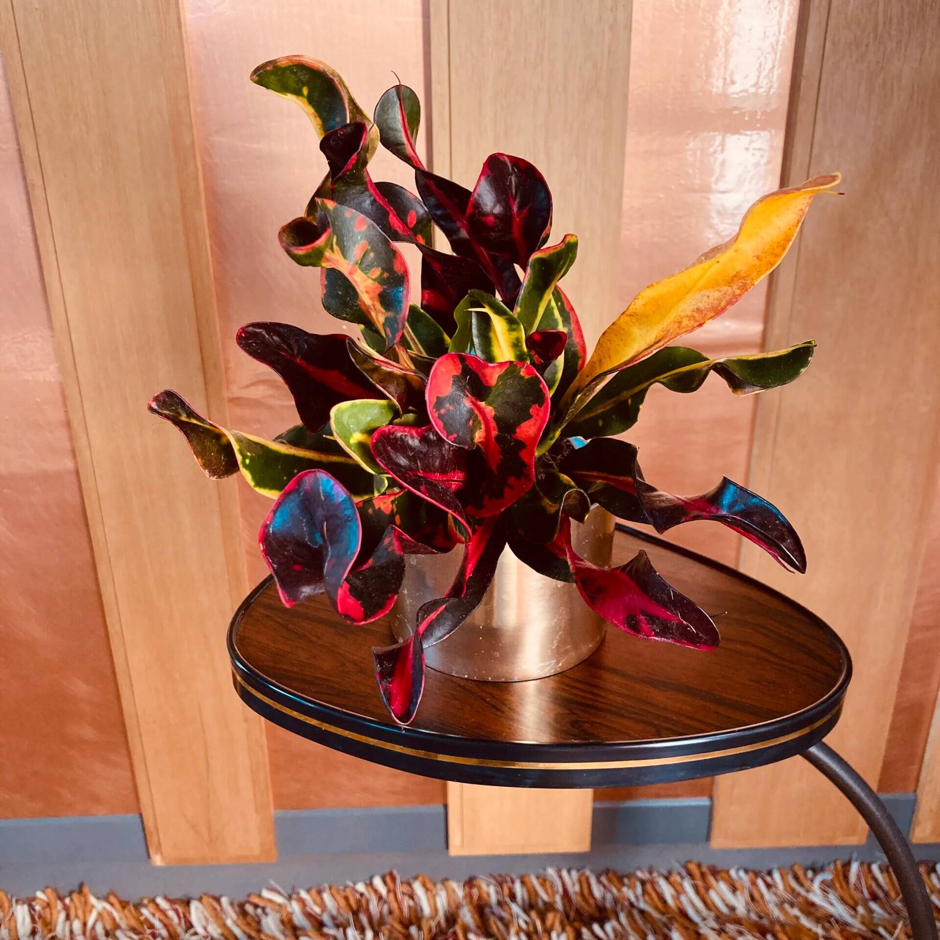 Retro plant table with levels, rosewood veneer, black trim