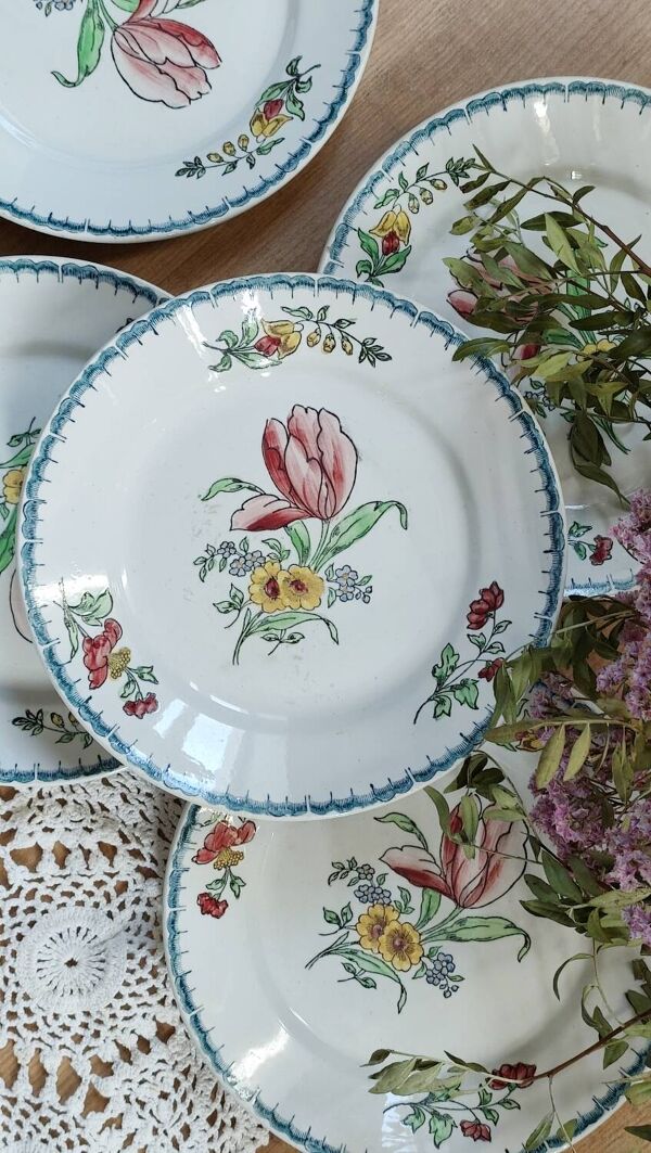 Lot de 6 assiettes à dessert Terre de fer polychromes