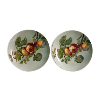 Pair of decorative plates in Choisy Le Roy earthenware