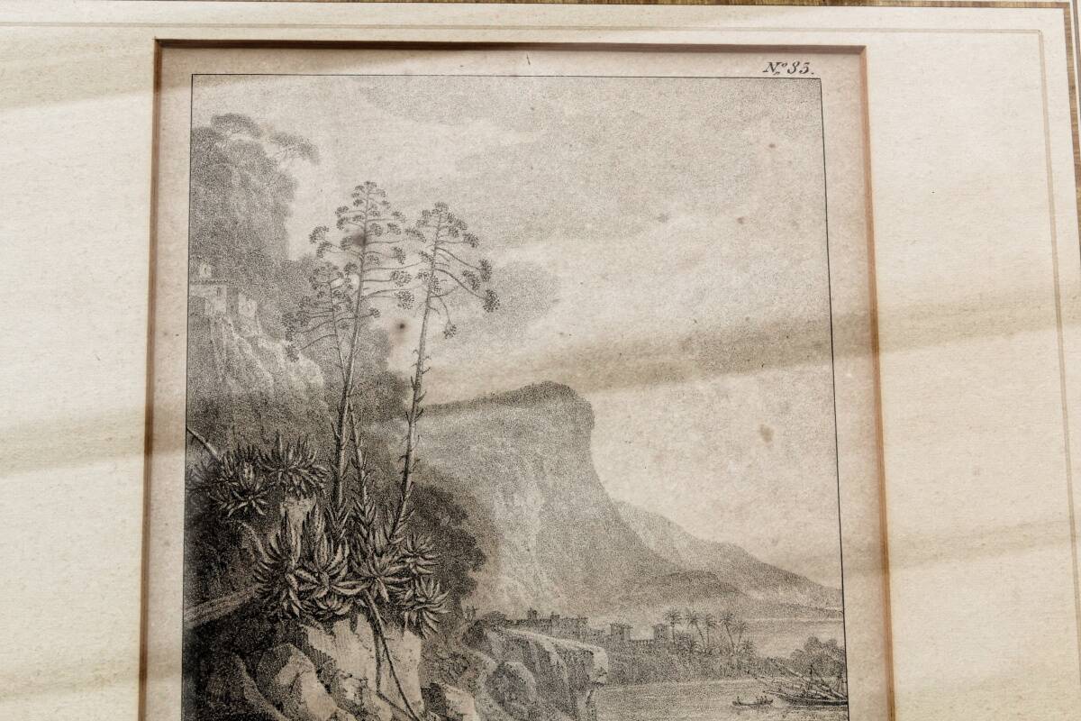 Paire de lithographies encadrées, par G. Engelmann, début 19ème.