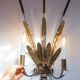 Vintage wall light with rush and leaves in sheet metal and gold metal
