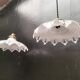 Paire suspensions en verre holophane
