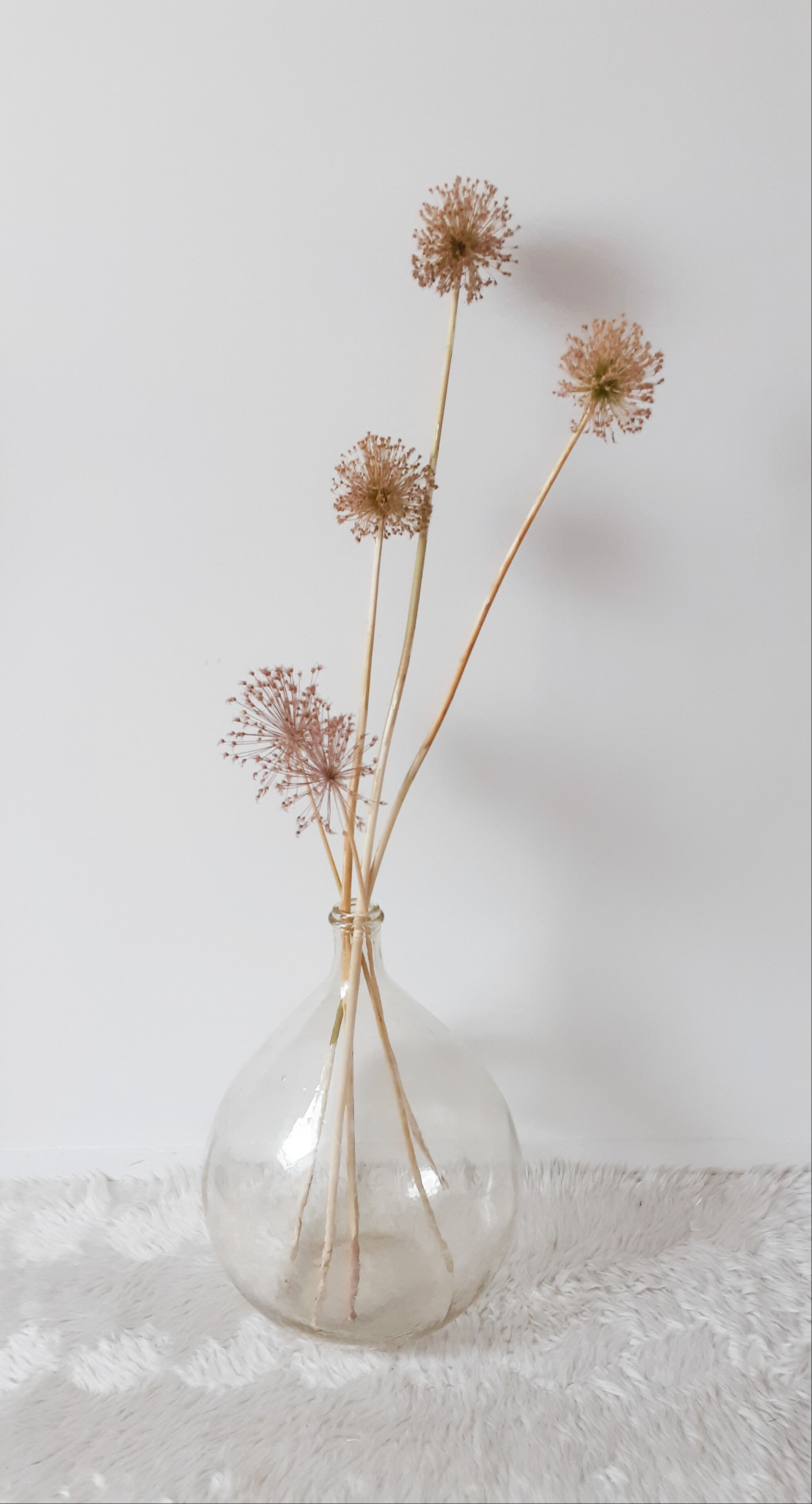 Demijohn canister 15 liters