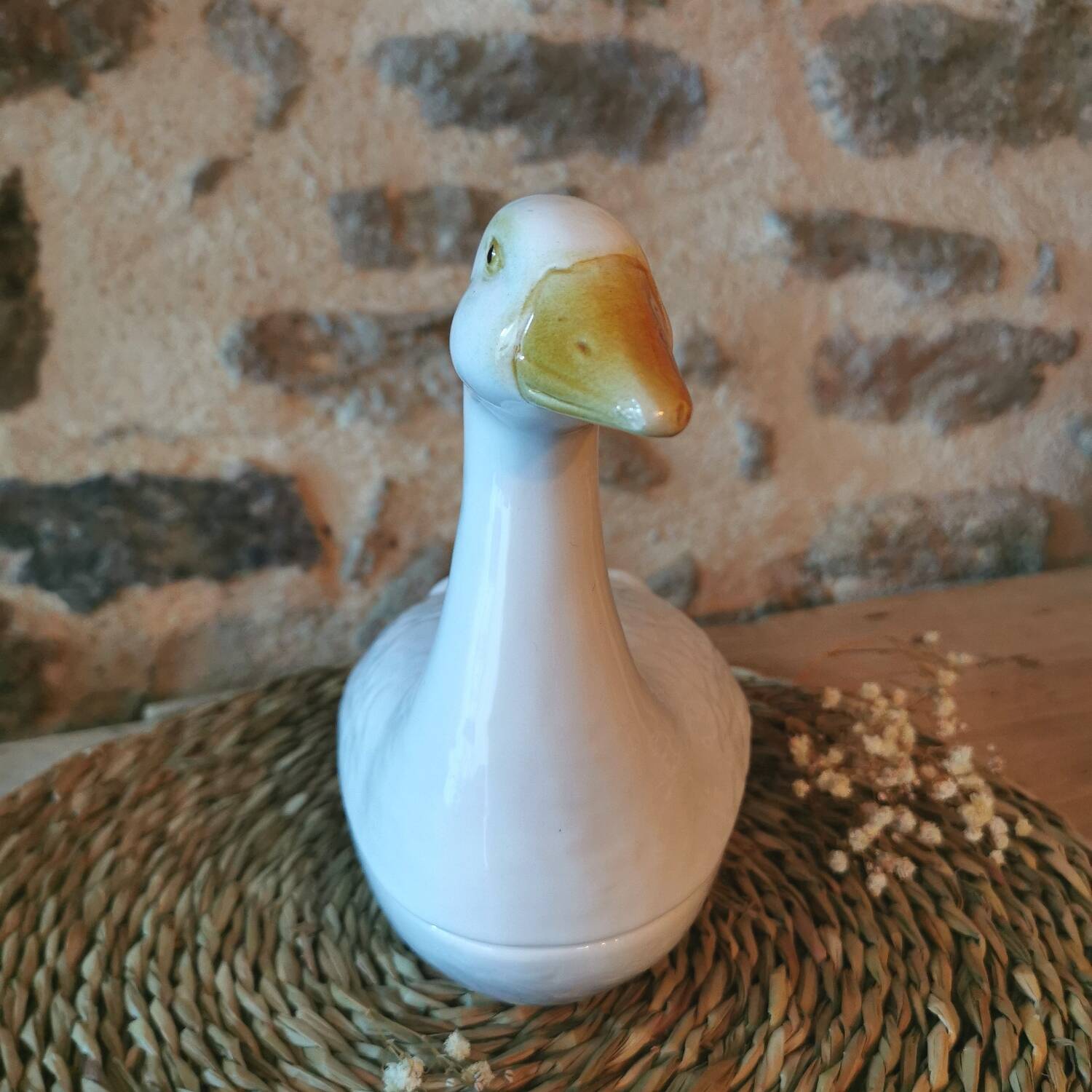 Barbotine Terrine White Goose Michel Caugant