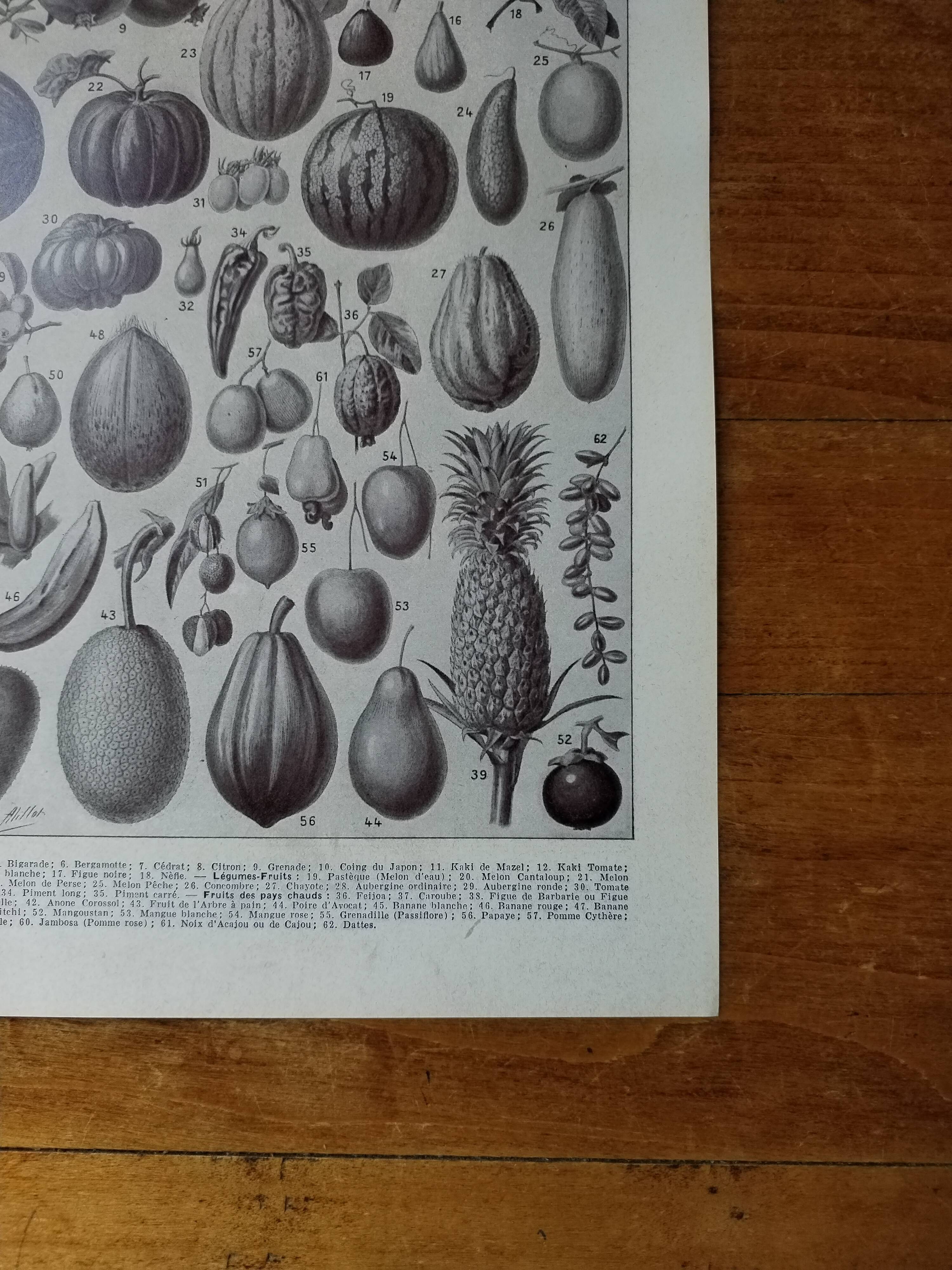 Original lithograph on fruits
