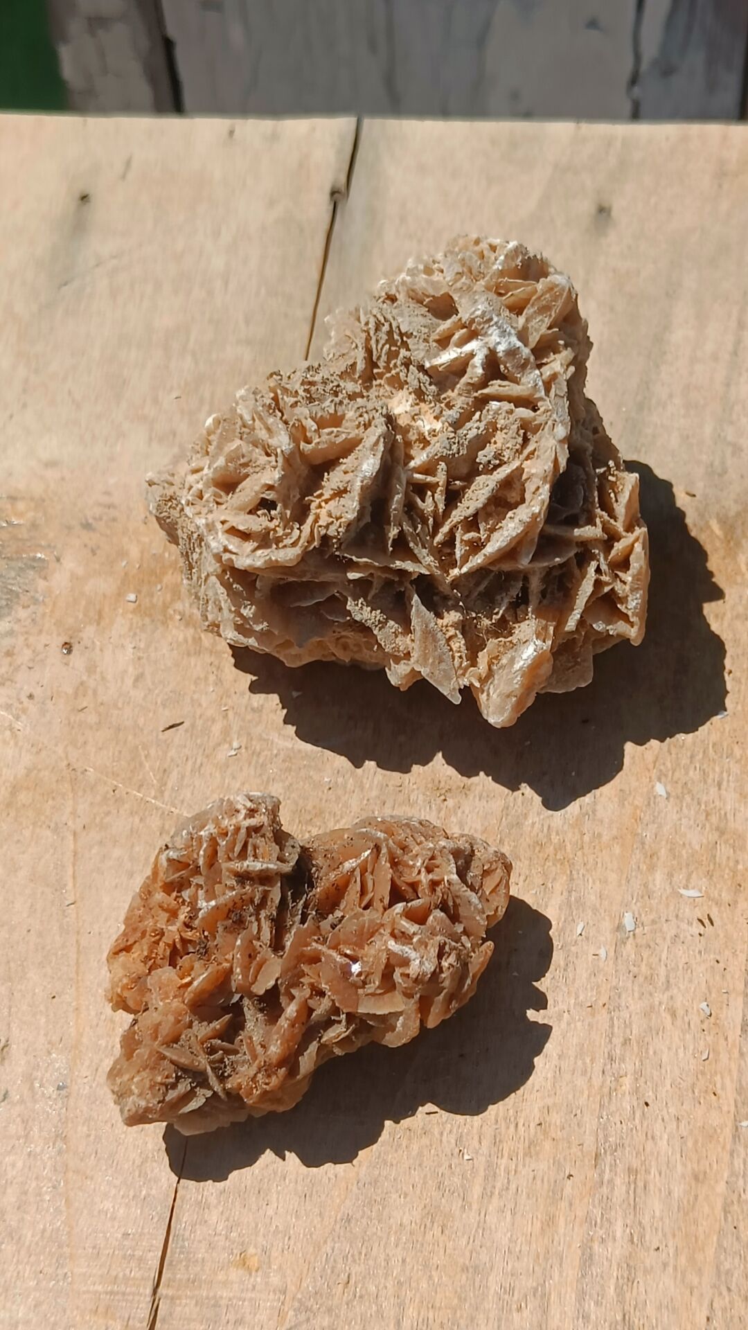 Roses des sables vintages
