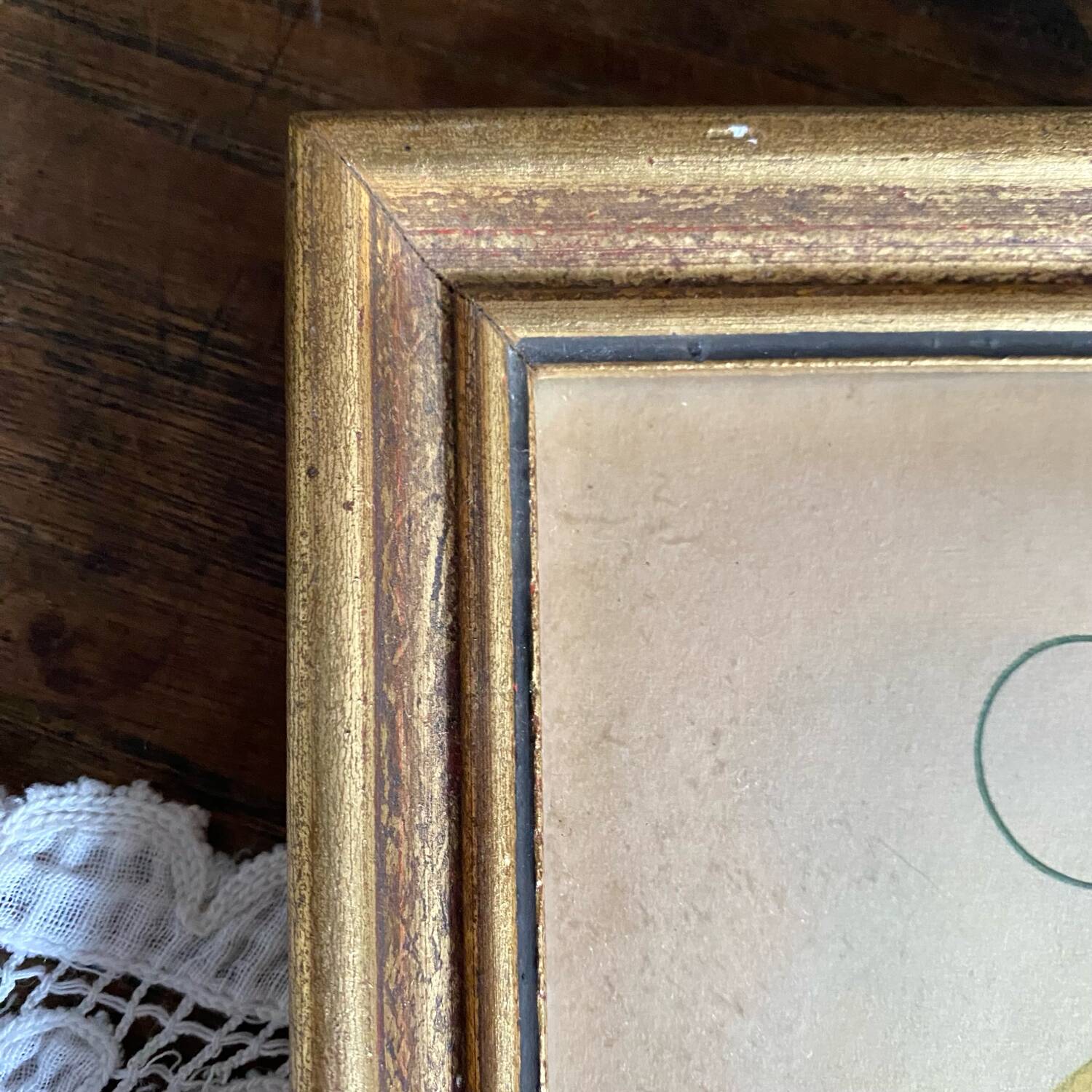Framed engraving of birds of paradise