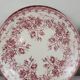 10 Sarreguemines earthenware plates
