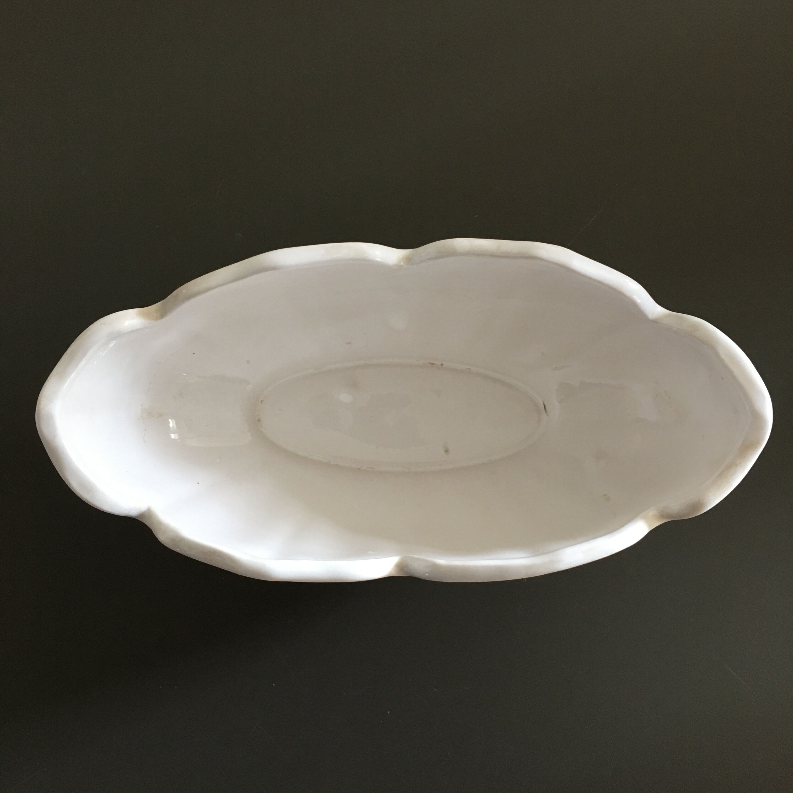 White scalloped gardener