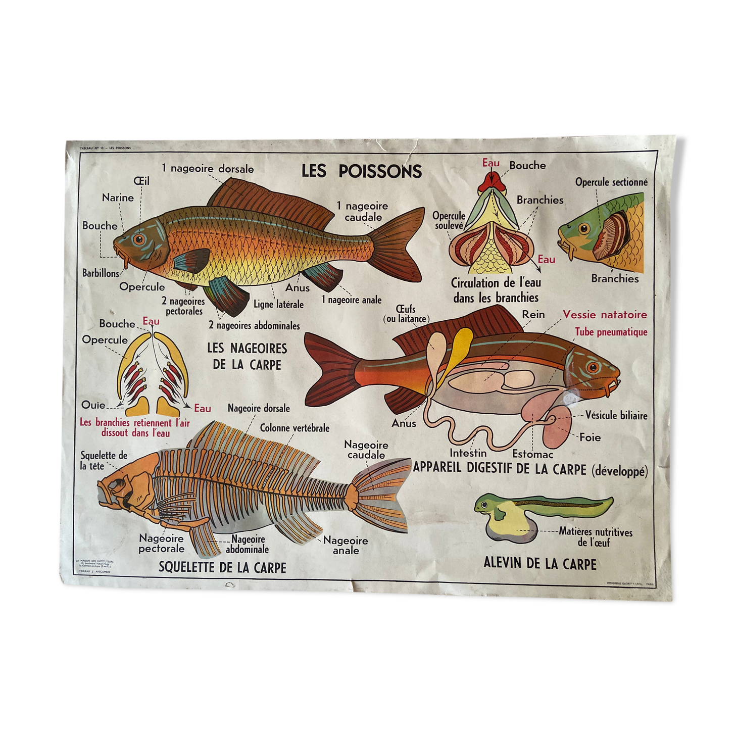 Old vintage school poster