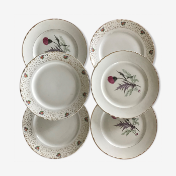 Series of 6 vintage plates