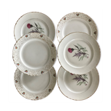 Series of 6 vintage plates