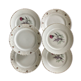 Series of 6 vintage plates