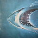 Affiche les dents de la mer