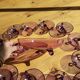 Rare amethyst blown glass cream service tripod - 13 pieces - Condition
