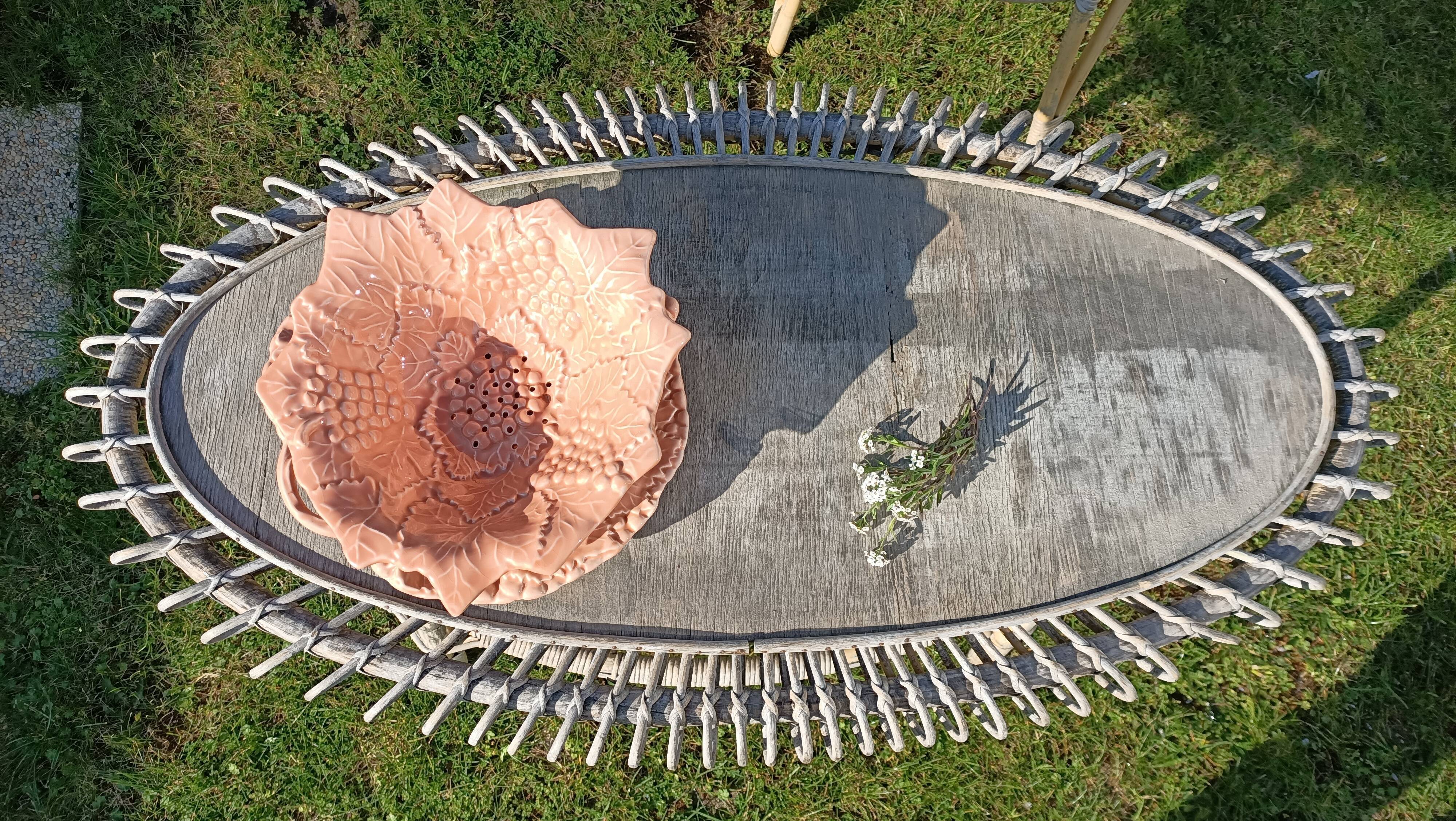 Drainer and slurry dish