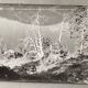 Photo argentique Bernard Darot XXe arbre mort devant un lac