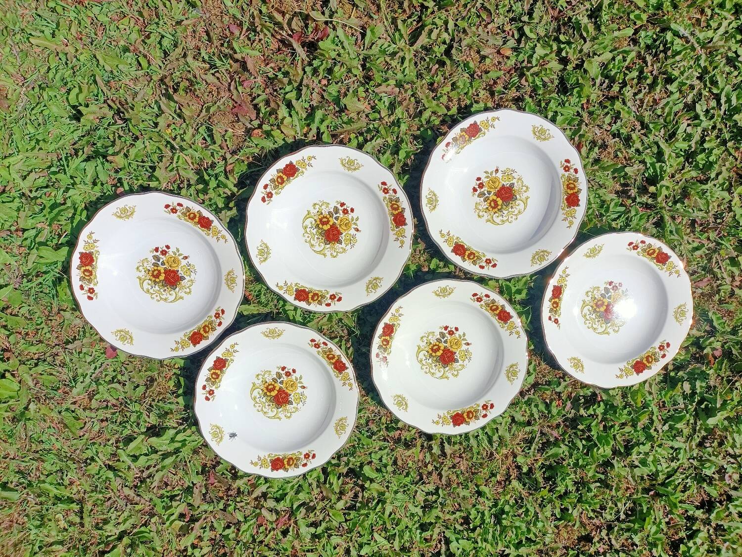 Soup plates x6 Digoin Sarreguemines 💐