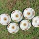 Soup plates x6 Digoin Sarreguemines 💐