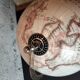 Decorative terrestrial globe on silver metal stand – explorer style