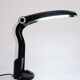 Toucan table lamp by HT Huang, 1980s