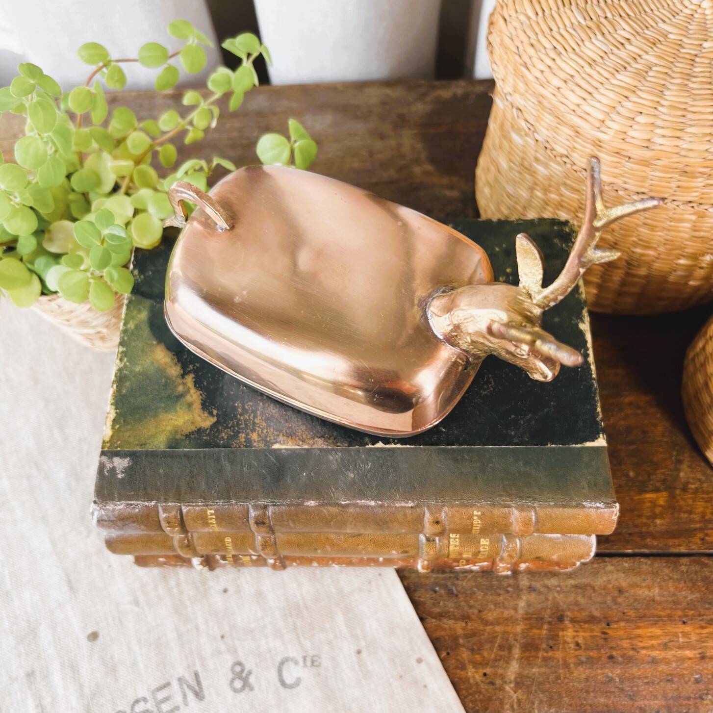 “Deer” brass box
