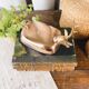 “Deer” brass box