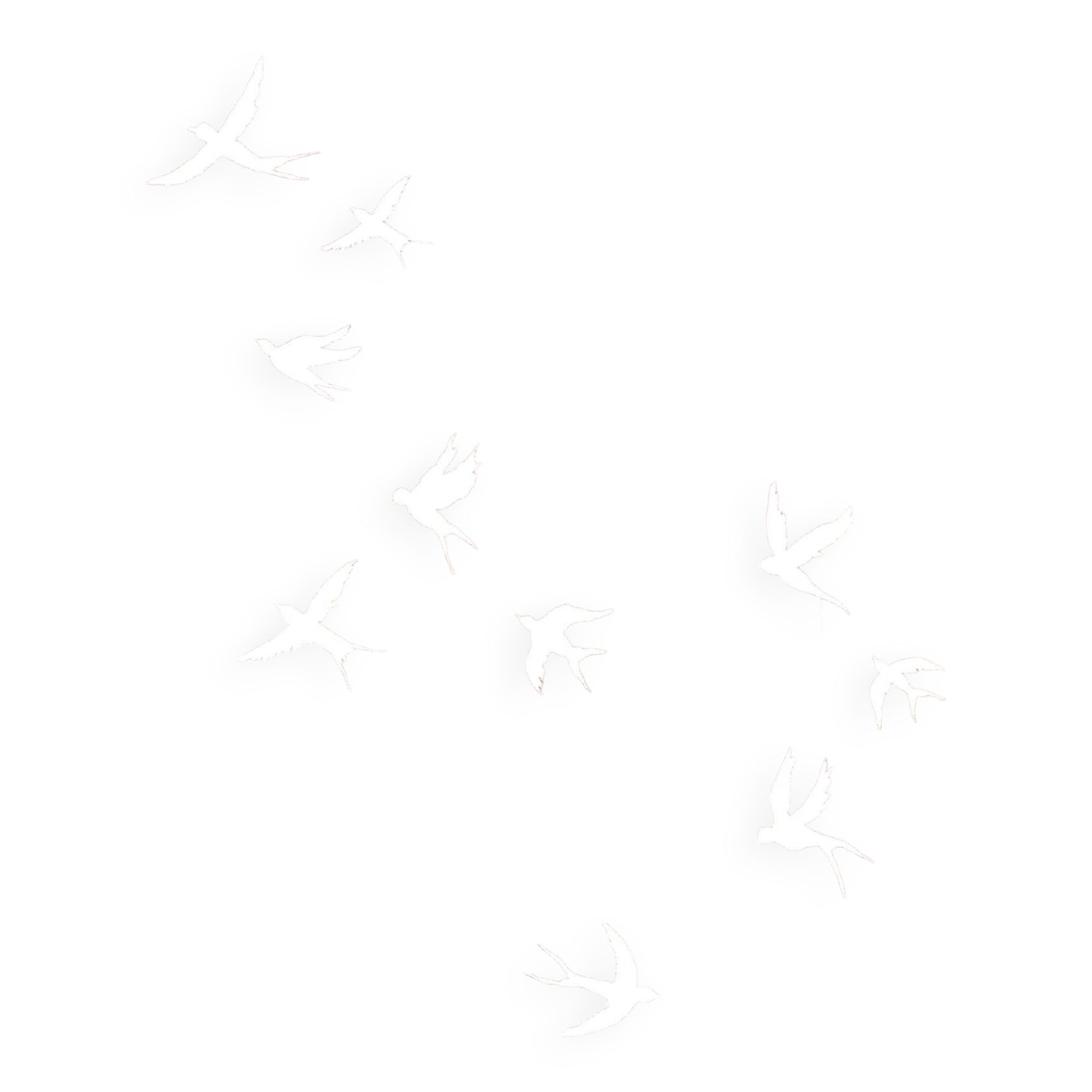 Art print, Flight and pink sun.