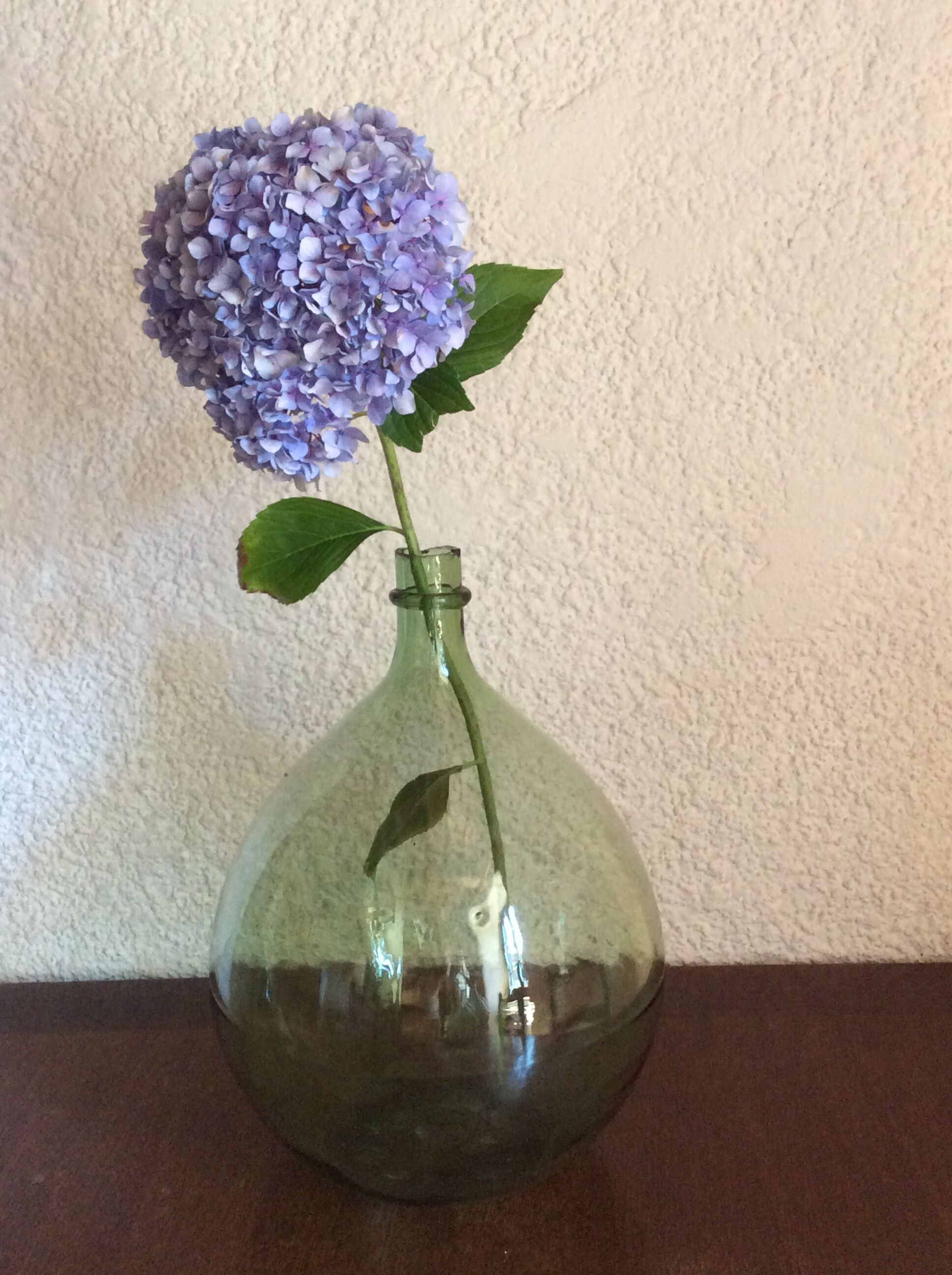 Old demijohn green 15 litres