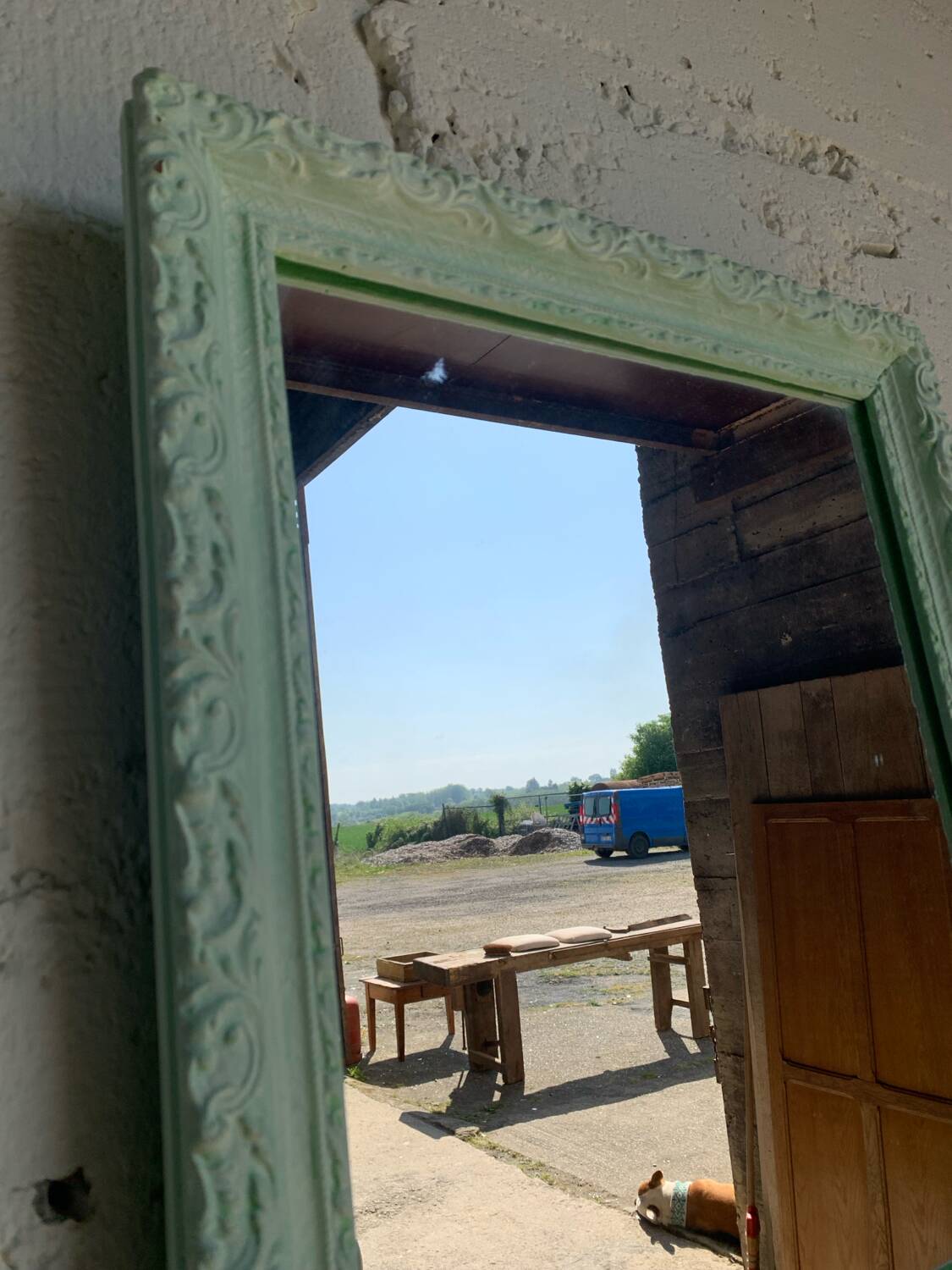 Small decorative mirror - plant decor