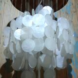 Ceiling light mother-of-pearl grapevines