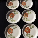 6 dessert plates