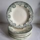 11 Deep Plates Ironstone Salins Cambacérès Decor