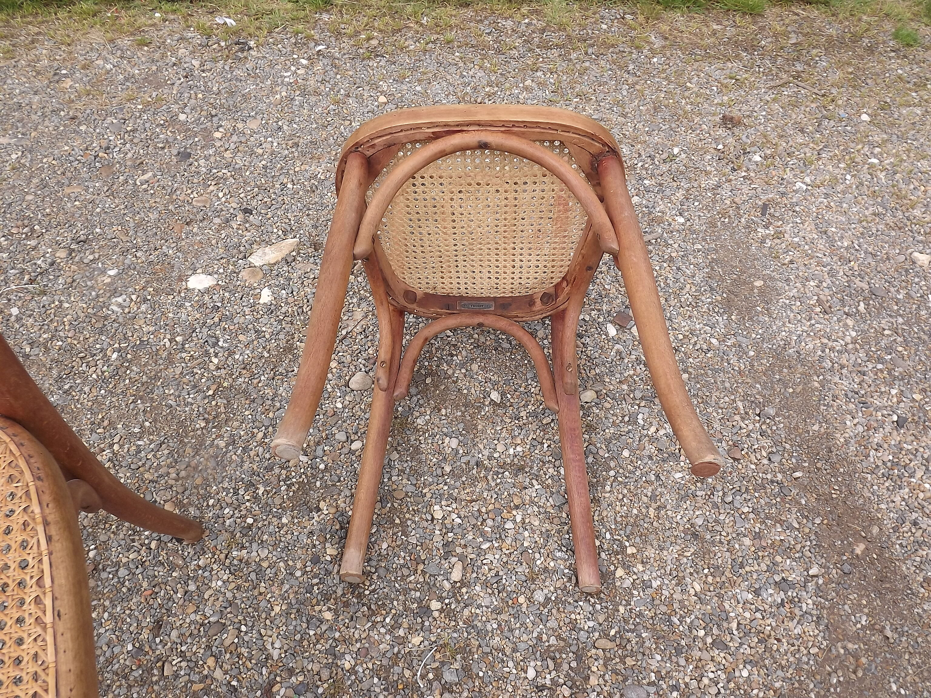 Pair of  Thonet chairs