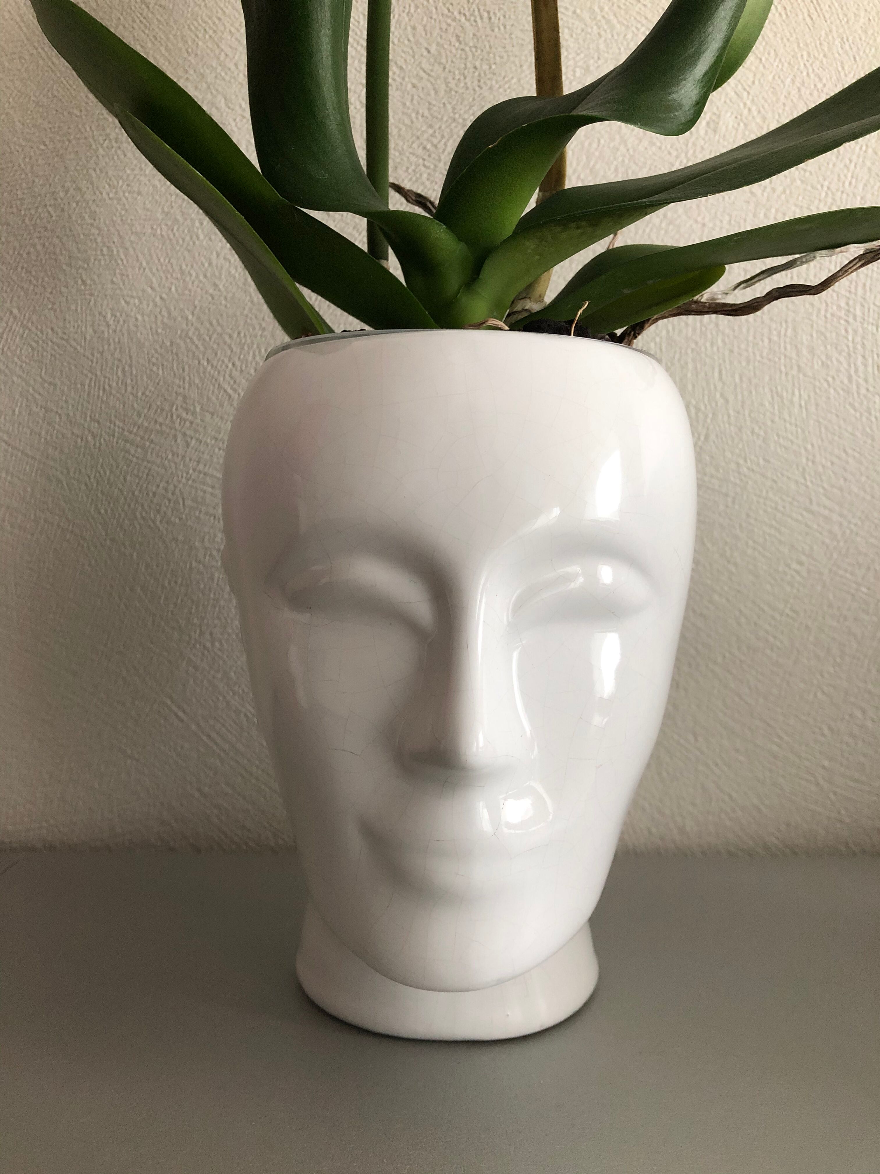 Ceramic face vase