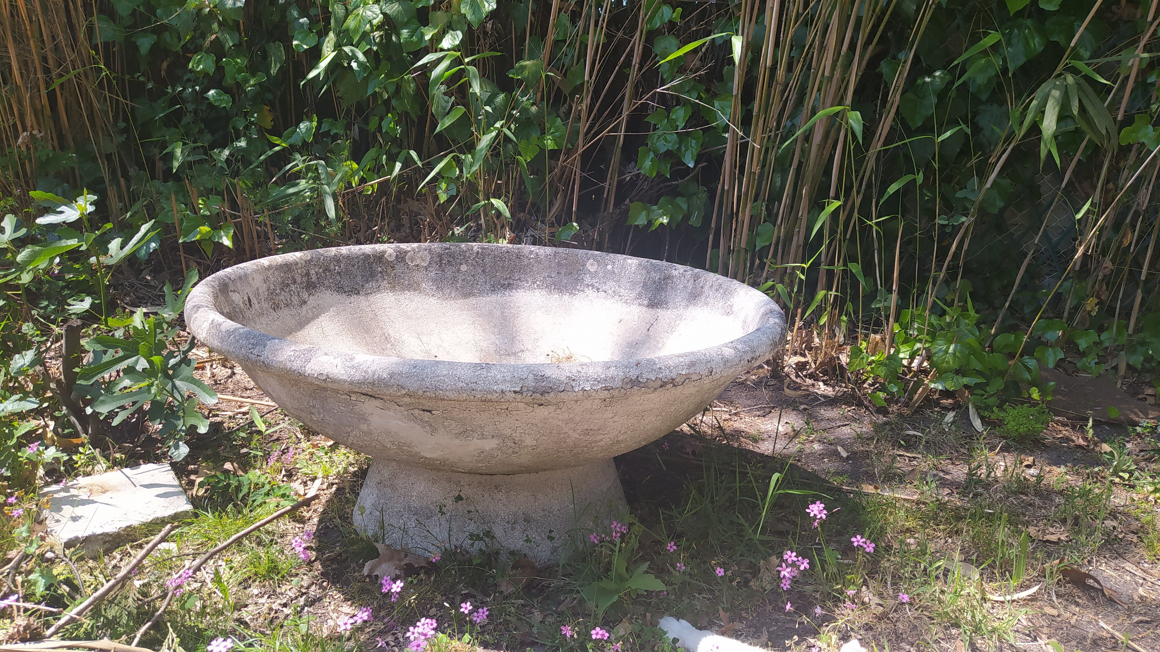 Vasque De Jardin D Occasionnull