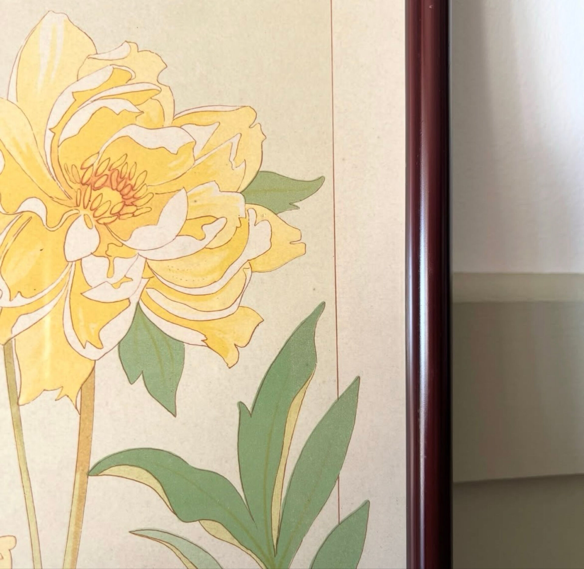 4 floral lithographs 1900