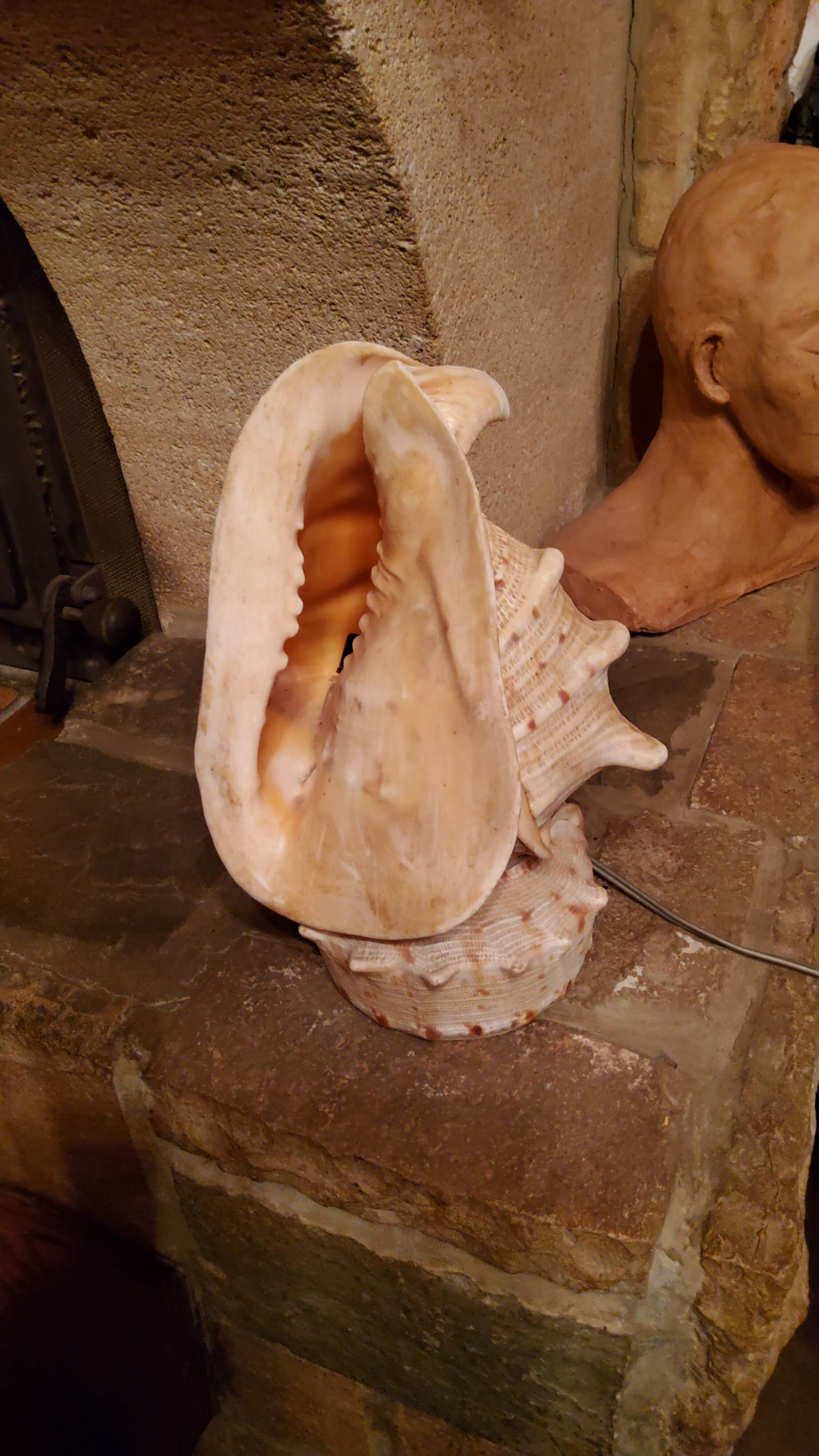 Shell lamp from the 50s