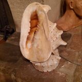 Shell lamp from the 50s